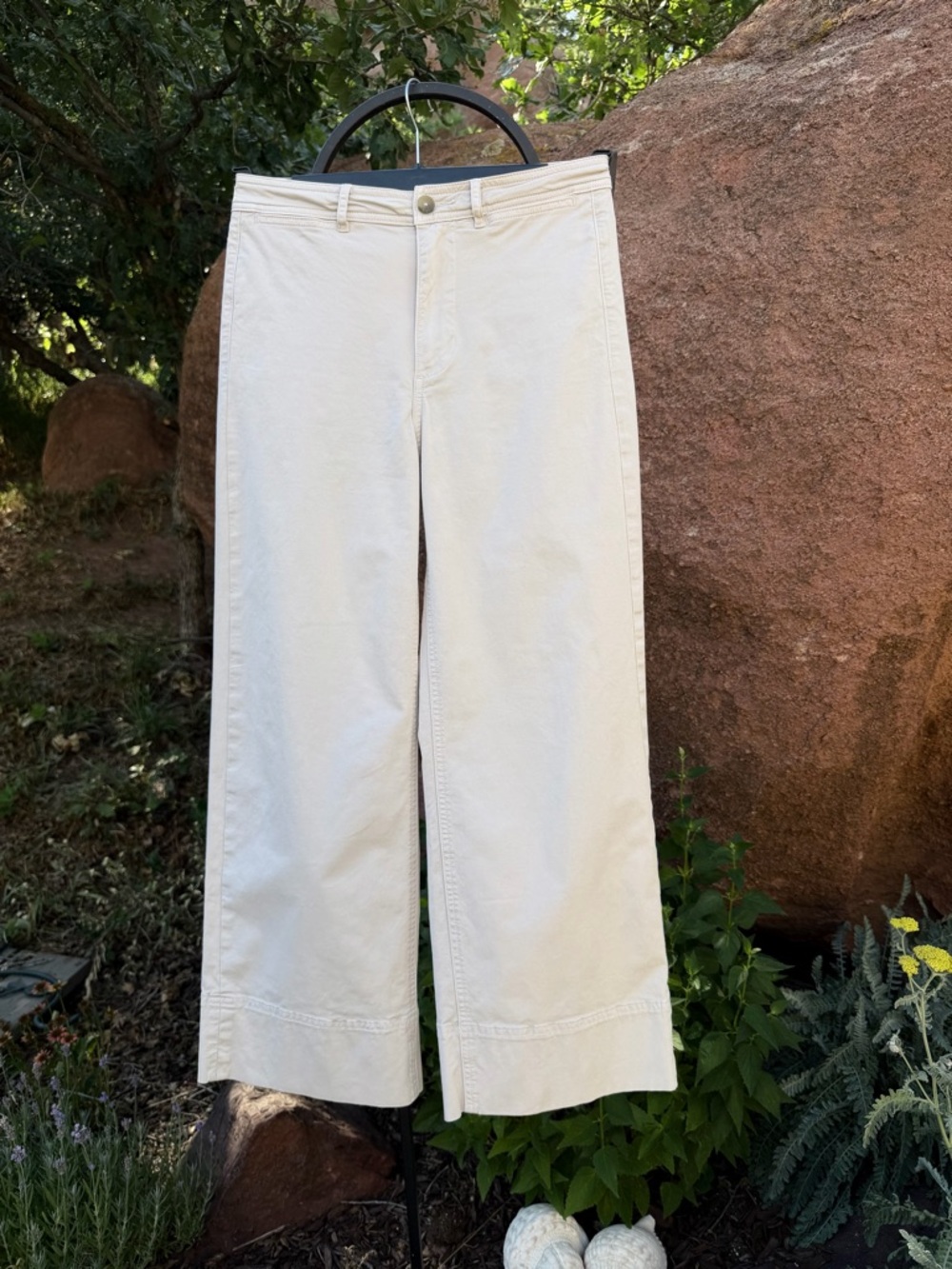 EVERLANE Light Tan High Waisted Wide Leg Cropped Chinos Sz 4